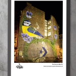The Famous Manchester Blue Tit